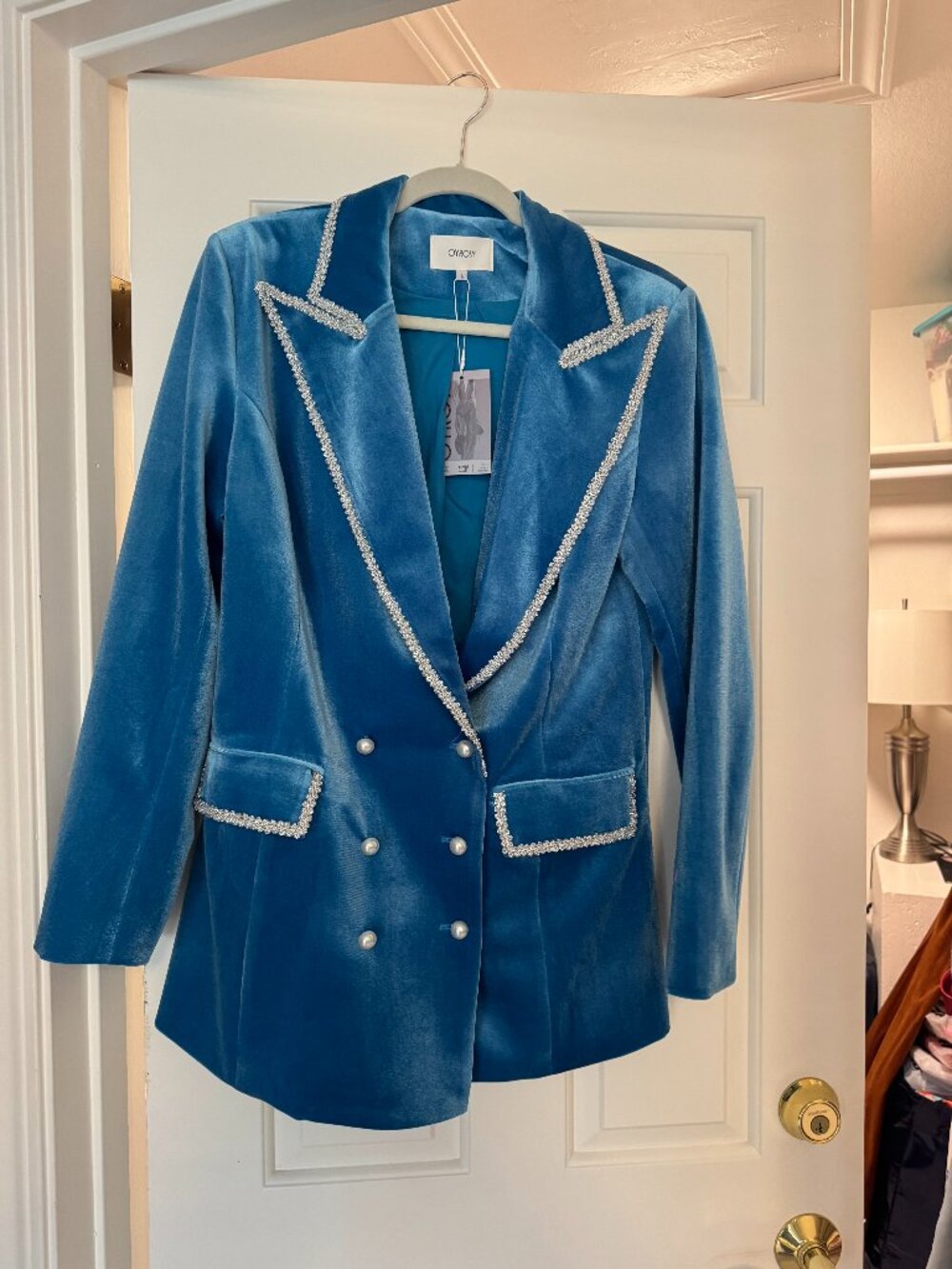 Oyrosy, Turquoise Blue Velvet Flared Pants
